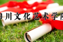 四川文化艺术学院王牌专业排名-含2024年全国各省录取最低分数线