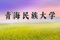 青海民族大学王牌专业排名-含2024年全国各省录取最低分数线
