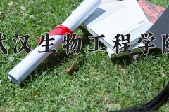 武汉生物工程学院王牌专业排名-含2024年全国各省录取最低分数线