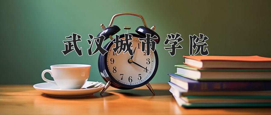 武汉城市学院