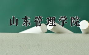 山东管理学院王牌专业排名-含2024年全国各省录取最低分数线