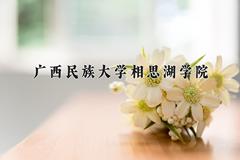 广西民族大学相思湖学院王牌专业排名-含2024年全国各省录取最低分数线