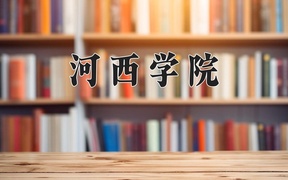 河西学院王牌专业排名-含2024年全国各省录取最低分数线