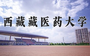 西藏藏医药大学王牌专业排名-含2024年全国各省录取最低分数线
