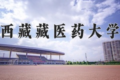 西藏藏医药大学王牌专业排名-含2024年全国各省录取最低分数线