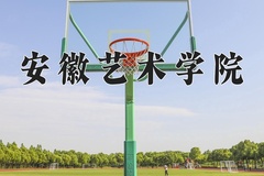 安徽艺术学院王牌专业排名-含2024年全国各省录取最低分数线