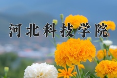 河北科技学院王牌专业排名-含2024年全国各省录取最低分数线