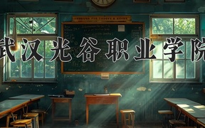 武汉光谷职业学院2024年录取分数线，广东录取最低分327