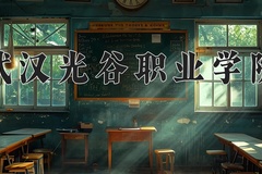 武汉光谷职业学院2024年录取分数线，广东录取最低分327
