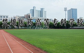 楚雄医药高等专科学校2024年录取分数线，广东录取最低分0