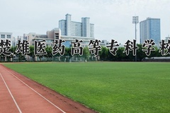 楚雄医药高等专科学校2024年录取分数线，广东录取最低分0