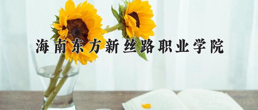 海南东方新丝路职业学院