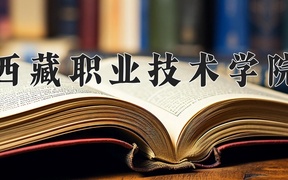 西藏职业技术学院2024年录取分数线，广东录取最低分339