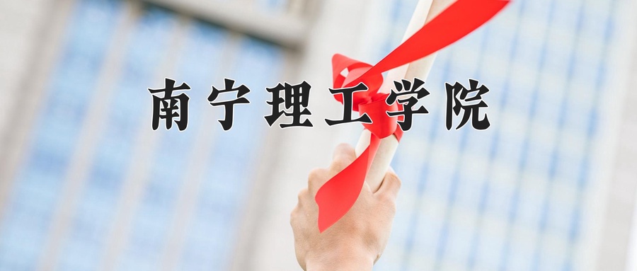 南宁理工学院