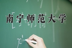 南宁师范大学2024年录取分数线，广东录取最低分516