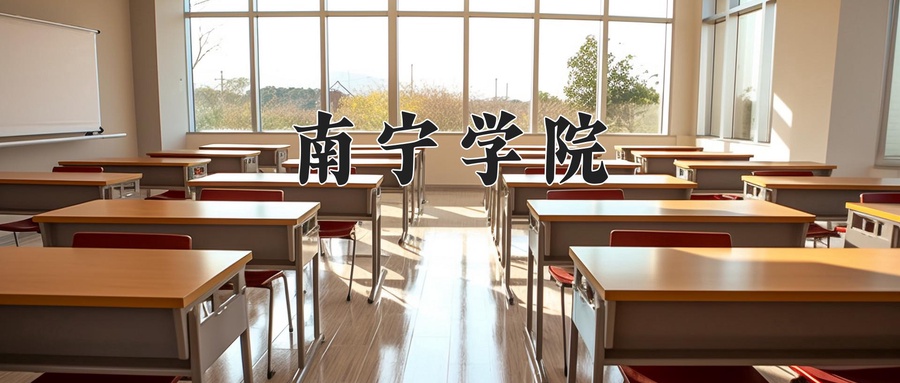 南宁学院