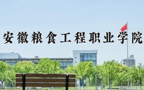 安徽粮食工程职业学院2024年录取分数线，广东录取最低分361