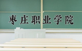 枣庄职业学院2024年录取分数线，广东录取最低分287