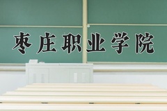 枣庄职业学院2024年录取分数线，广东录取最低分287