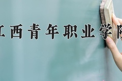 江西青年职业学院2024年录取分数线，广东录取最低分349