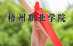 梧州职业学院2024年录取分数线，广东录取最低分329