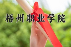 梧州职业学院2024年录取分数线，广东录取最低分329