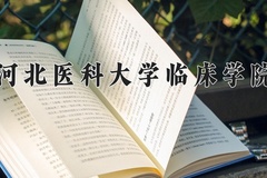 河北医科大学临床学院2024年录取分数线，广东录取最低分492