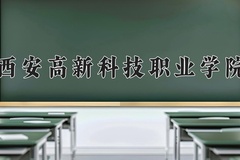 西安高新科技职业学院2024年录取分数线，广东录取最低分338
