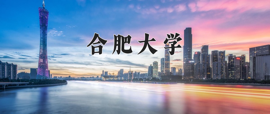 合肥大学