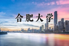 合肥大学2024年录取分数线，广东录取最低分516