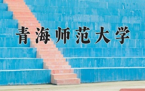 青海师范大学2024年录取分数线，广东录取最低分504