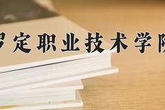 罗定职业技术学院2024年录取分数线，广东录取最低分368