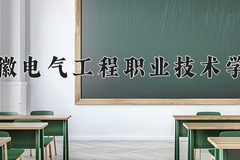 安徽电气工程职业技术学院2024年录取分数线，广东录取最低分409