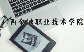 广西金融职业技术学院2024年录取分数线，广东录取最低分348