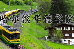哈尔滨华德学院2024年录取分数线，广东录取最低分451