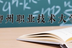 柳州职业技术大学2024年录取分数线，广东录取最低分377