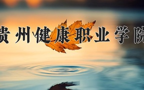 贵州健康职业学院2024年录取分数线，广东录取最低分381