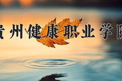 贵州健康职业学院2024年录取分数线，广东录取最低分381