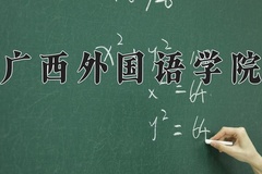 广西外国语学院2024年录取分数线，广东录取最低分478
