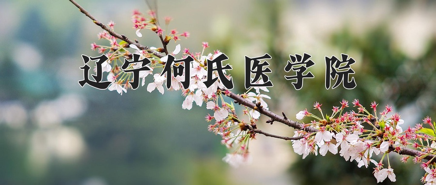 辽宁何氏医学院