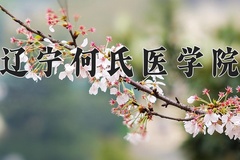 辽宁何氏医学院2024年录取分数线，广东录取最低分479