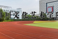 四川文化艺术学院2024年录取分数线，广东录取最低分454