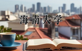 海南大学2024年录取分数线，广东录取最低分516