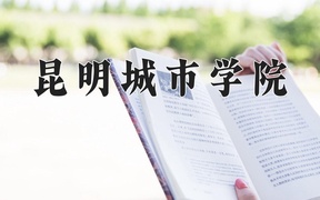 昆明城市学院2024年录取分数线，广东录取最低分278