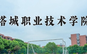 塔城职业技术学院2024年录取分数线，广东录取最低分373