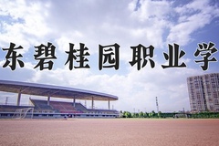 广东碧桂园职业学院2024年录取分数线，广东录取最低分298