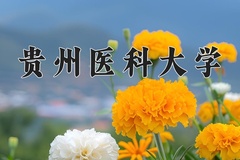 贵州医科大学2024年录取分数线，广东录取最低分472