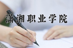 潇湘职业学院2024年录取分数线，广东录取最低分314