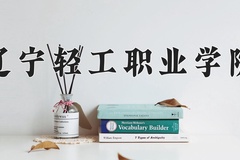 辽宁轻工职业学院2024年录取分数线，广东录取最低分350