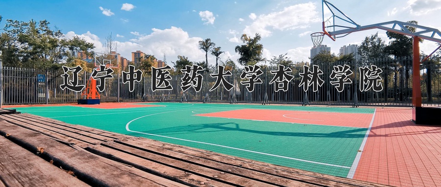 辽宁中医药大学杏林学院